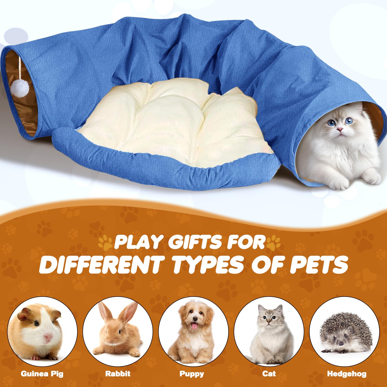 Spardar Tunnel pour Chat, Tunnel 2 en 1 pour Chat, Bleu