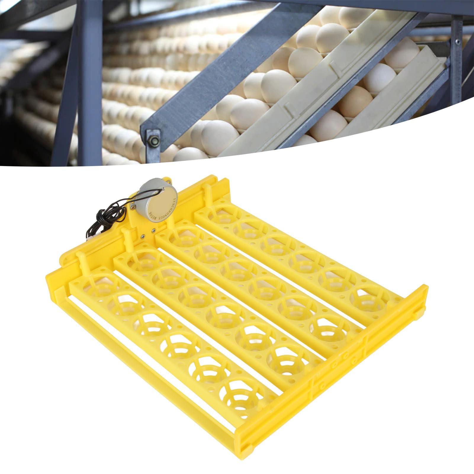 KIMISS 24 Capacidad de Huevos Bandeja de Huevos para Girar para Pato, Pollo, Pavo Real, Ganso - Solución de Incubación Eficiente y Tranquila (AC220V)
