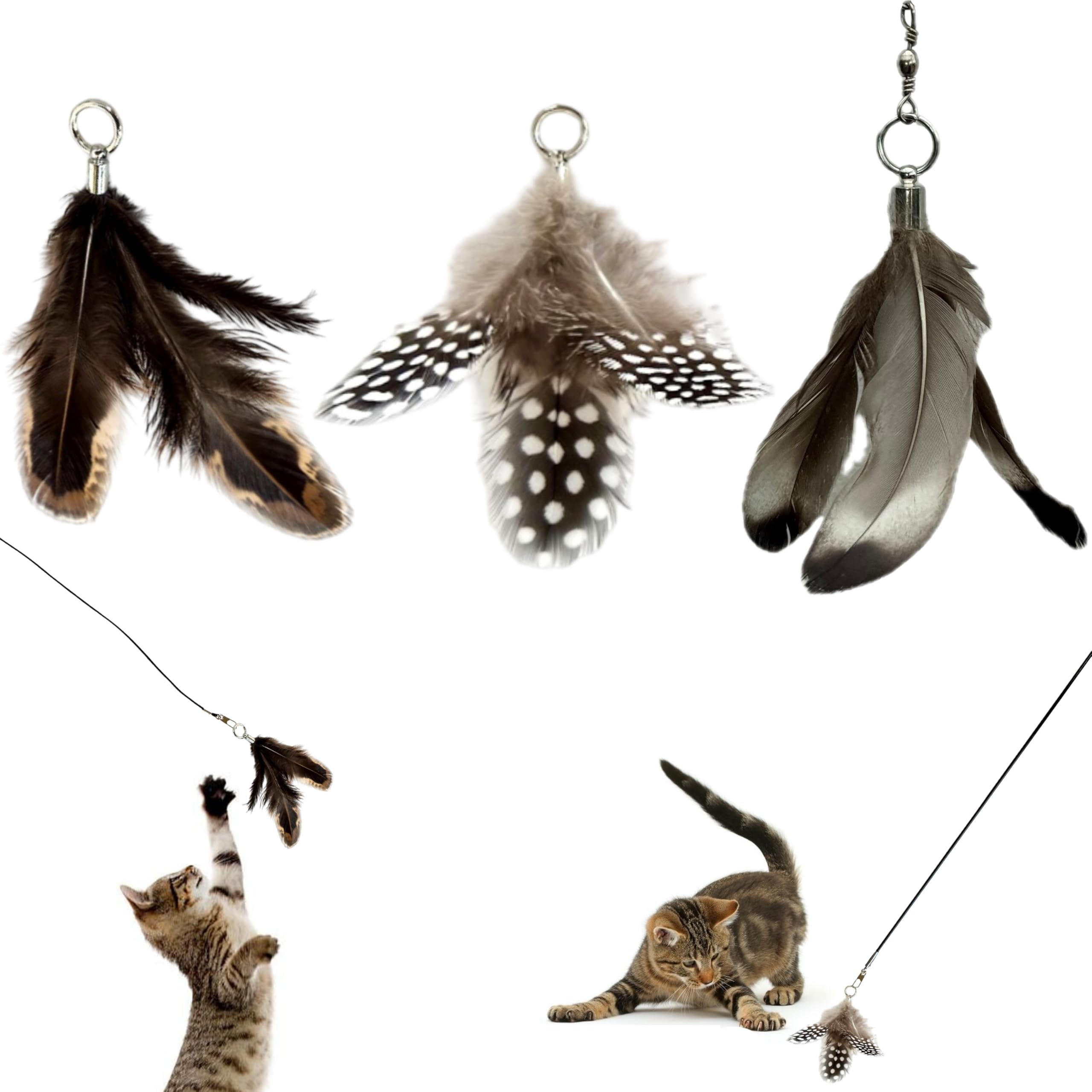 repounce Feather Toys Replacements (3 Pc) - Cat Toys & Kitten Toys for Indoor Kittens, Set of Replacement Feather Attachments Extra Small and Durable,