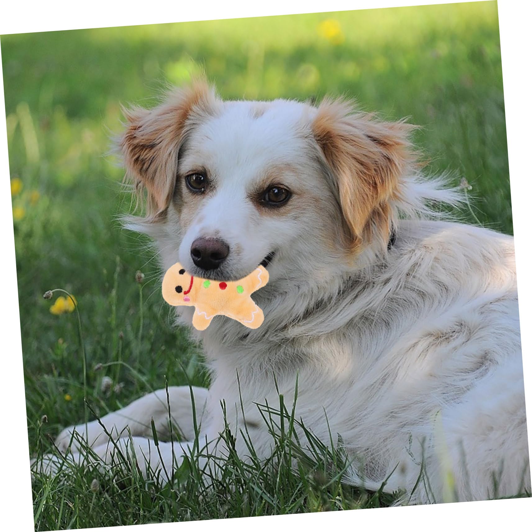 Jouet à Mâcher pour Chien Peluche De Noël Solide Résistant Aux Morsures Taille Moyenne pour Nettoyage des Dents Jouet Interactif D’intérieur pour Animaux De Compagnie