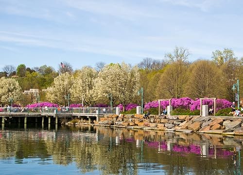 Miniatura 2 de Noah - Rompecabezas de primavera en Burlington Vermont, 1000 piezas