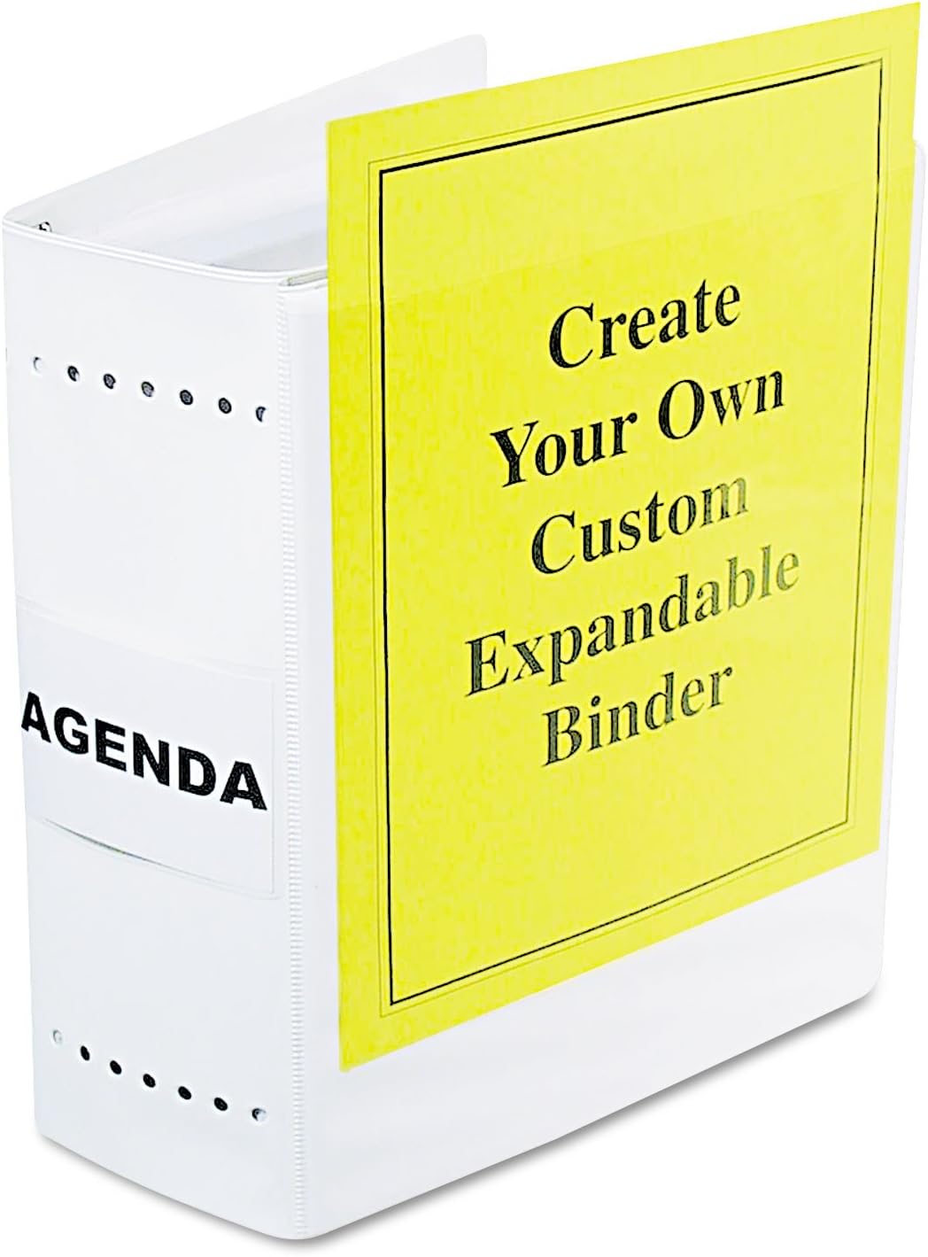 LEO61605 - Charles Leonard Varicap6 Expandable 1-6 Post Binder