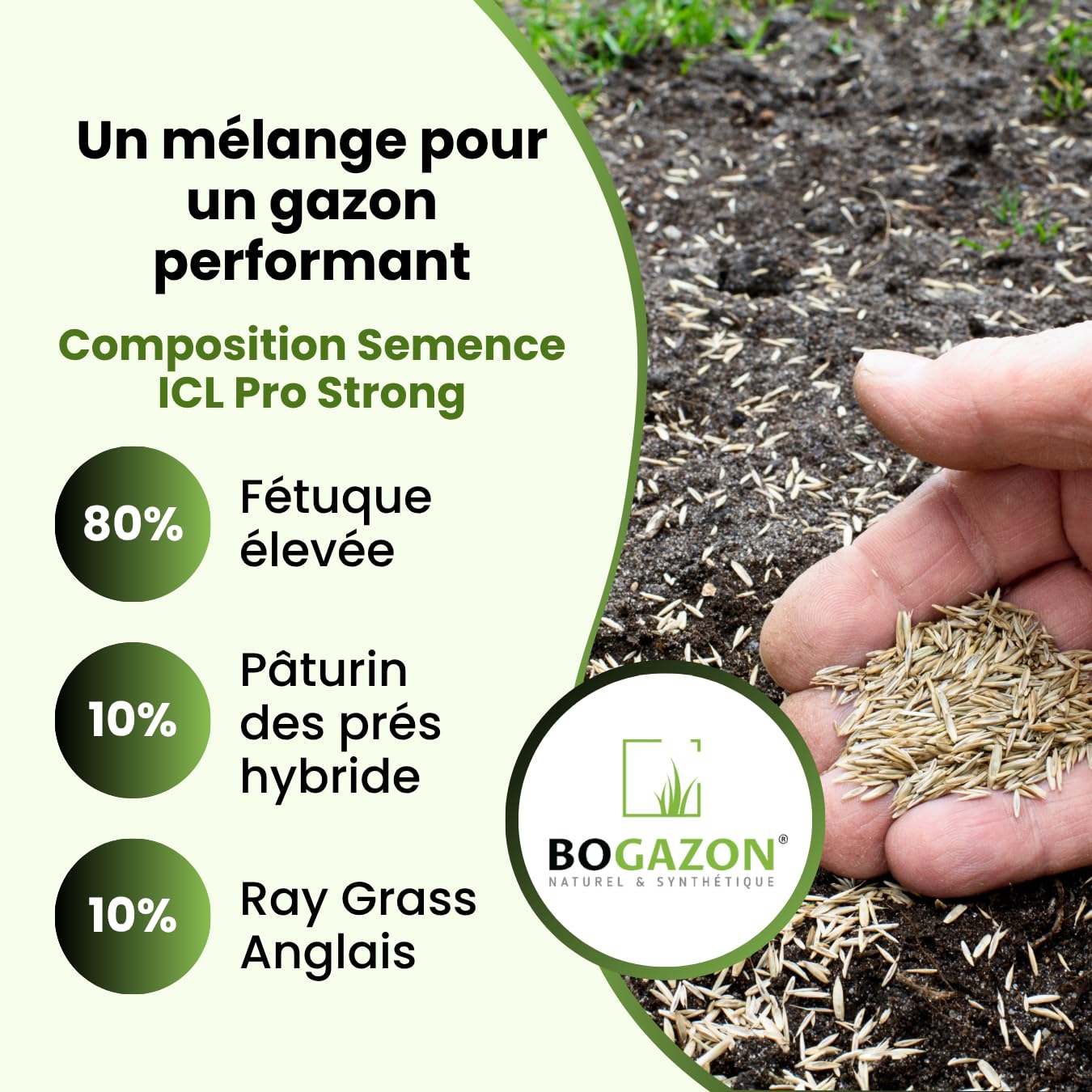 Gazon a semer ICL Pro Strong 10 kg| Graines de Gazon Rustique Résistant Sécheresse Racines Profondes | Semence Universel au Rendement Élevé
