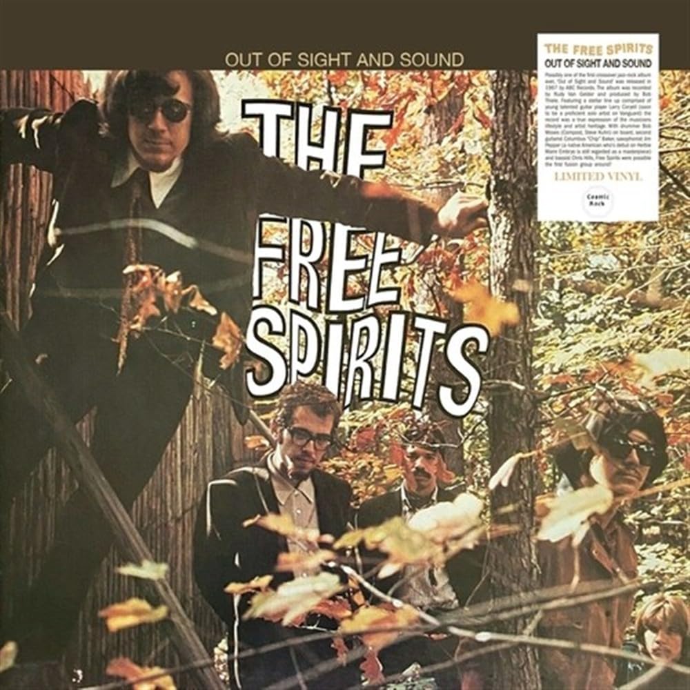 Out Of Sight And Sound [VINYL]
