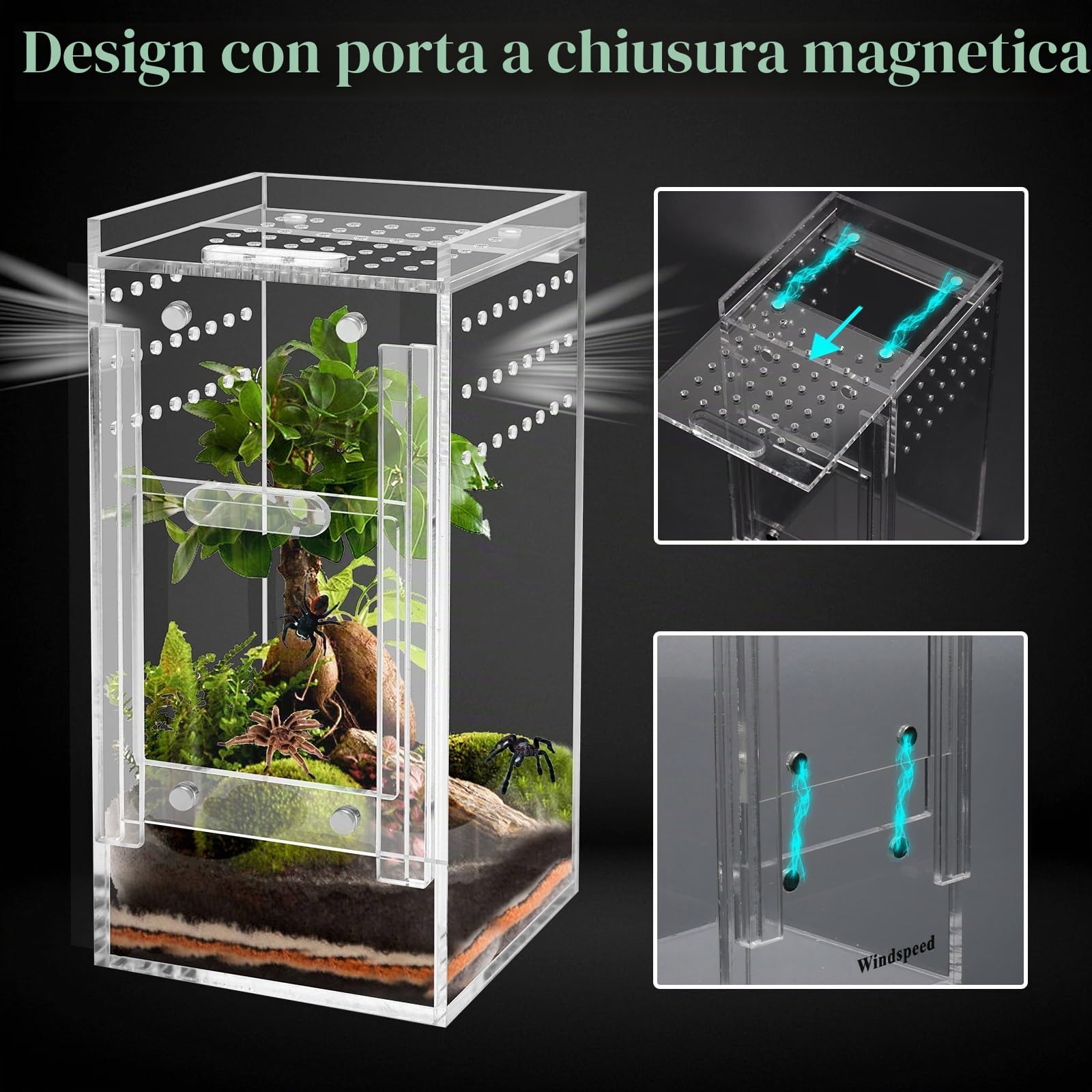 Windspeed - Recinzione per ragni che saltano, in acrilico, per micro habitat, per arboree, tarantole, lucertole, gechi, ragni che saltano, scatola acrilica per terrari