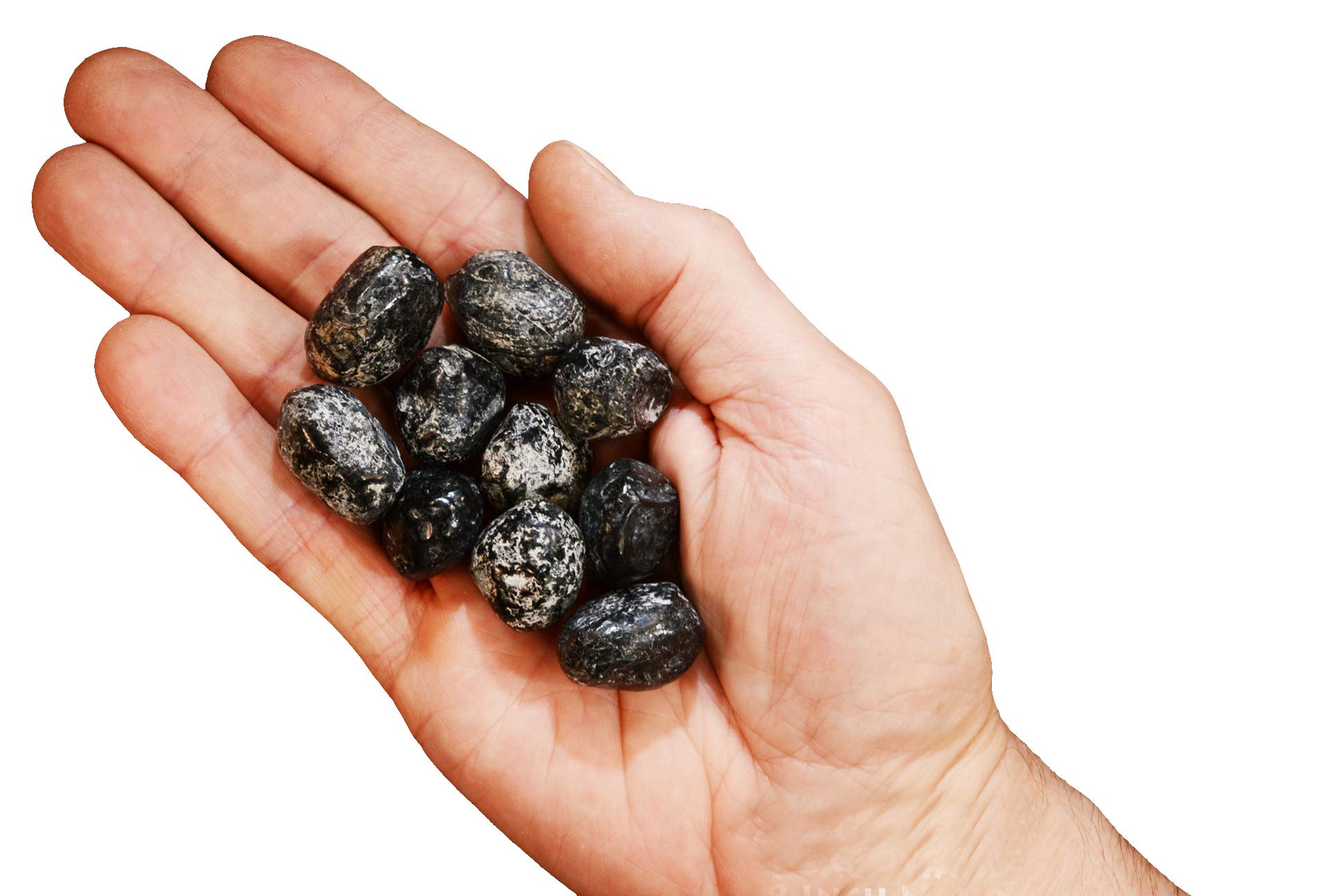 Apache Tear Polished 3/4 Set of 4 Tumbled Crystal Healing Stone Root Chakra