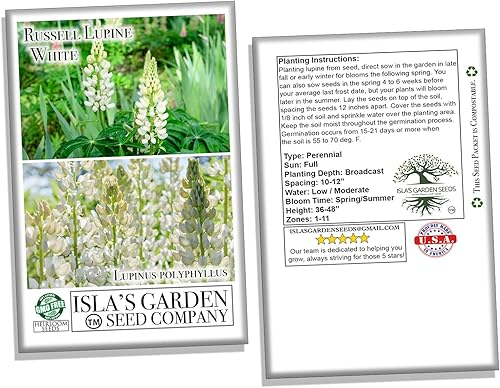 Miniatura 5 de White Russell - Semillas de altramuz para plantar, más de 100 semillas de flores por paquete, semillas de jardín de Isla (semillas de jardín de