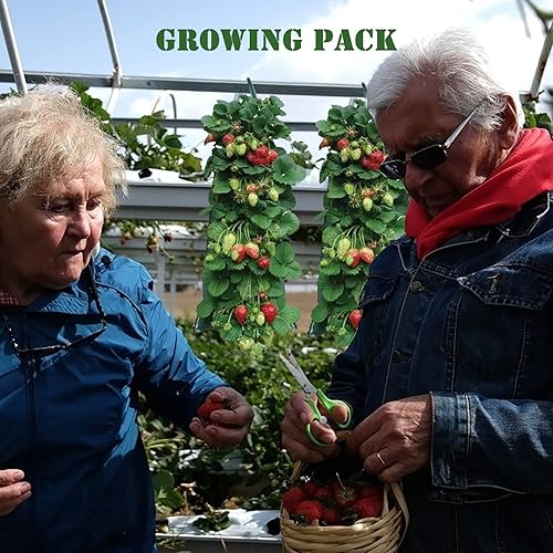 Miniatura 5 de Bolsas colgantes de fresas  Macetero de tomate para patio y jardín al revés  Bolsas colgantes de tela de aireación para fresas, resistente para