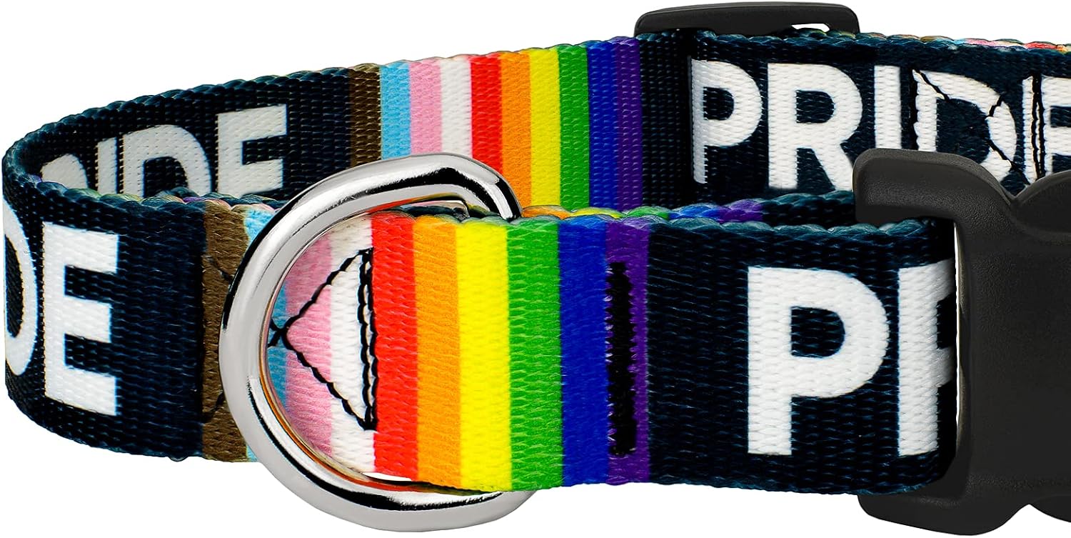 Country Brook Petz - Pride Everyday Dog Collar & Leash Set- for Durability, Comfort & Style - Rainbow Flag Colors for LGBTQIA+ Support, 1 Inch, Medium