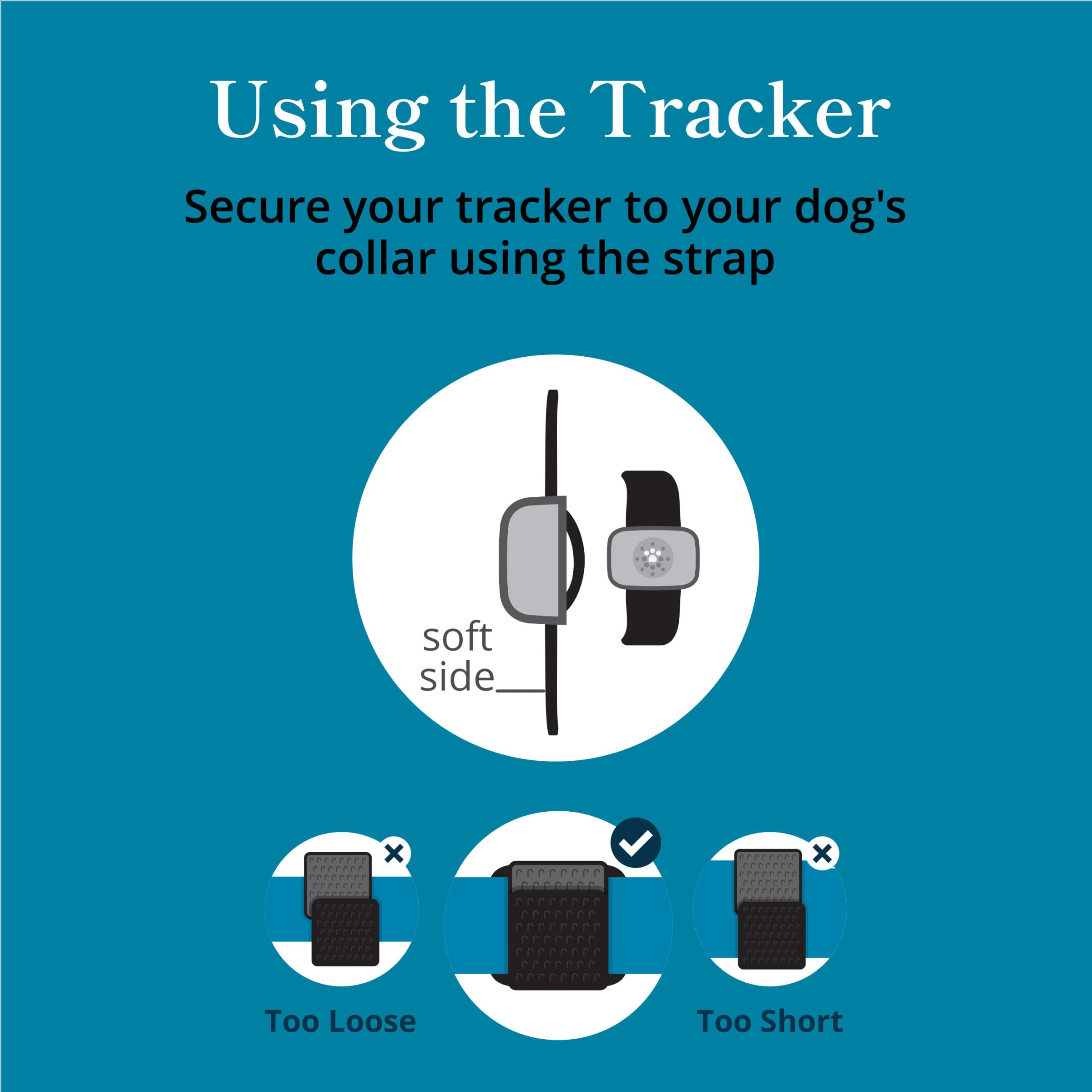 Petivity GPS intelligente e tracker per cani di attività