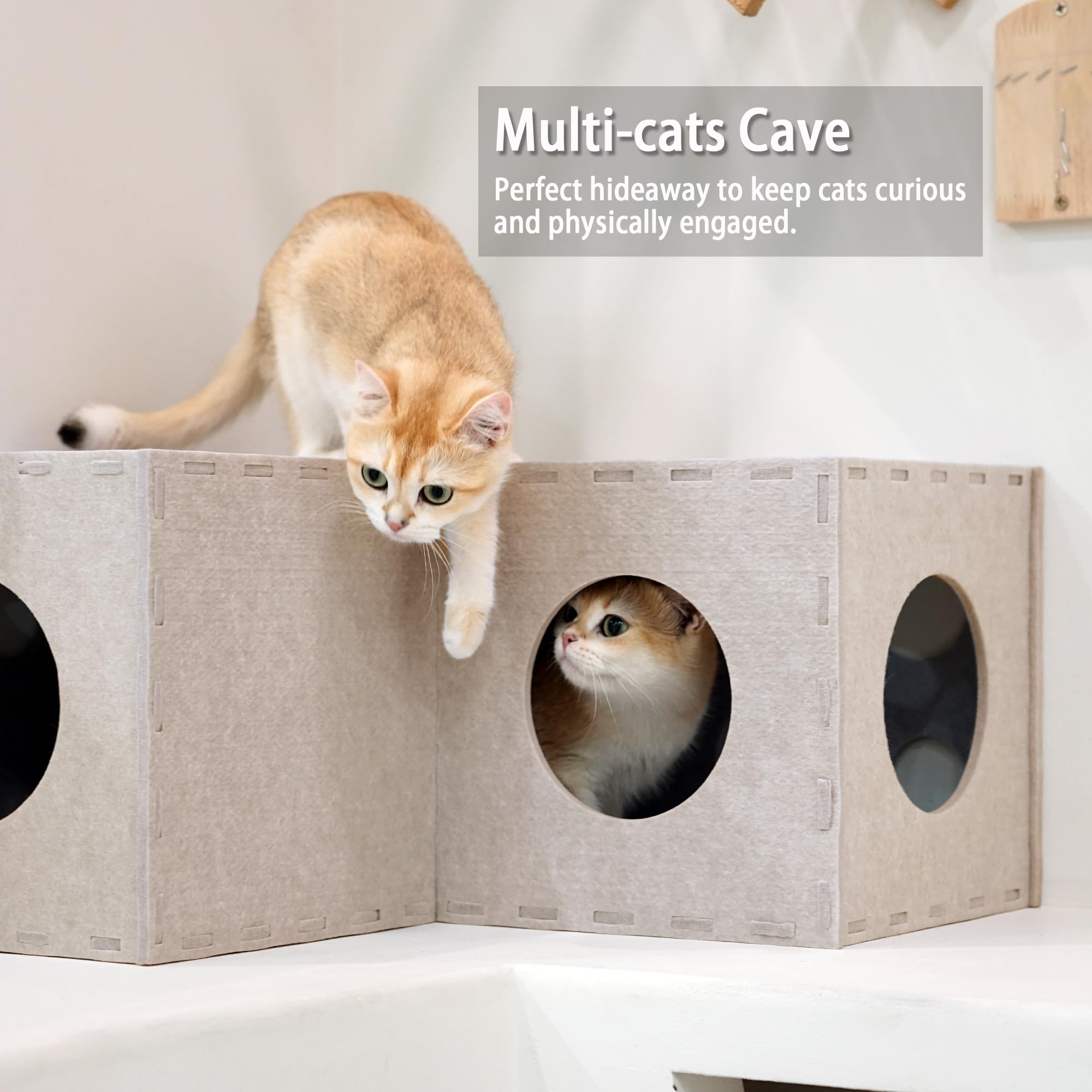 PETKARAY Cat Tunnel, Original Cat Hideaway Cave for Indoor Cats Large Kitten Play Tubes and Tunnels - Image 4