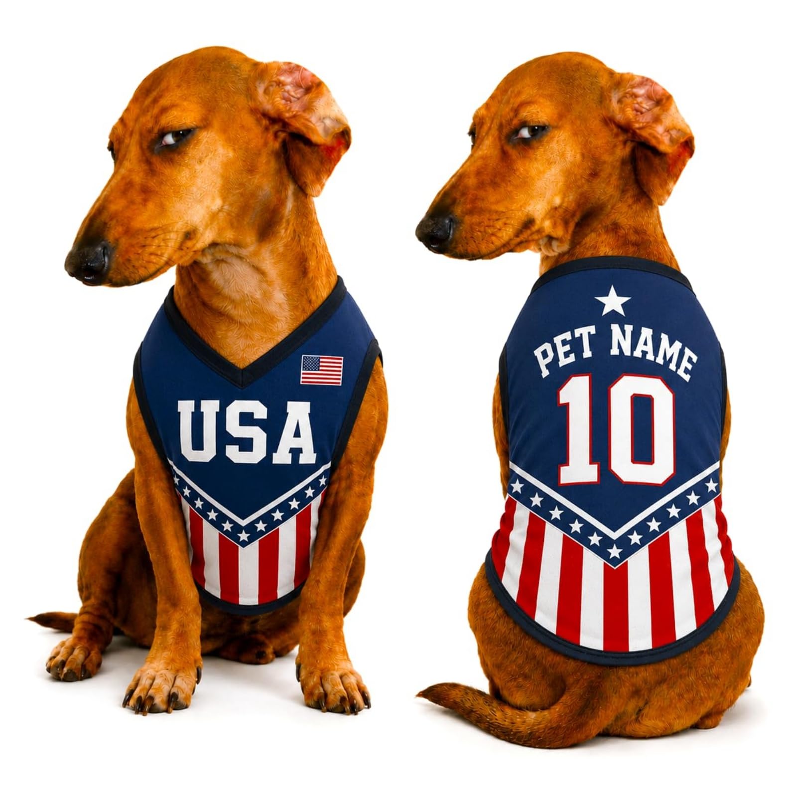Custom Dog Football Jersey with Name Number Logo, Personalised 2026 Pet Jersey, Breathable Quick Dry T-Shirt for Small Medium Large Dogs, Gift for Fans
