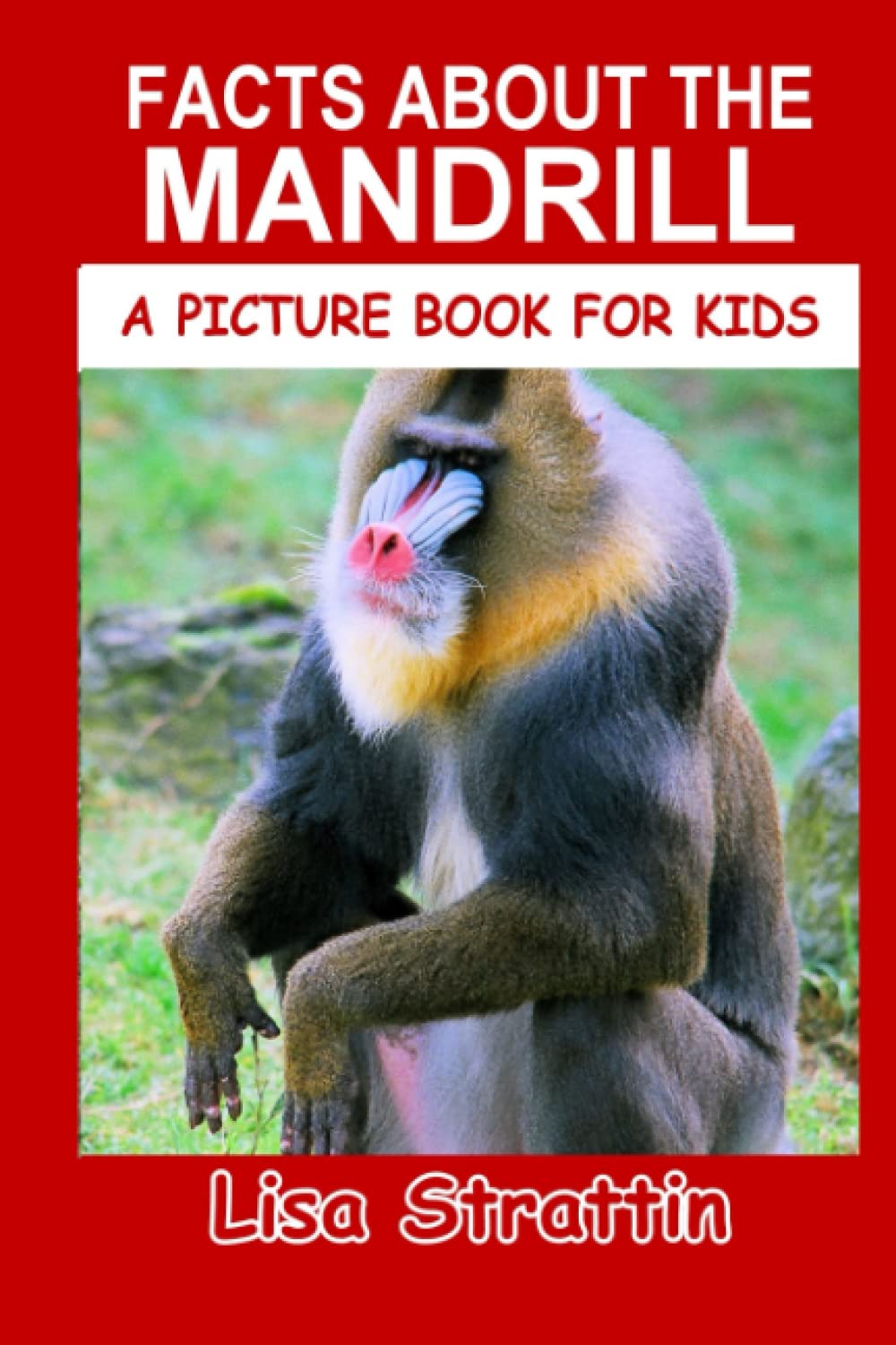 Facts About the Mandrill (A Picture Book For Kids)