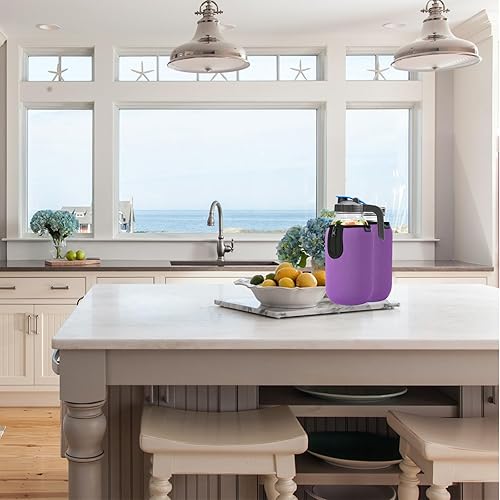 Miniatura 4 de Beautyflier Tarros Mason de boca ancha de 64 onzas, frasco grande de 64 onzas, aisladores de boca ancha, tarros de medio galón, frasco de