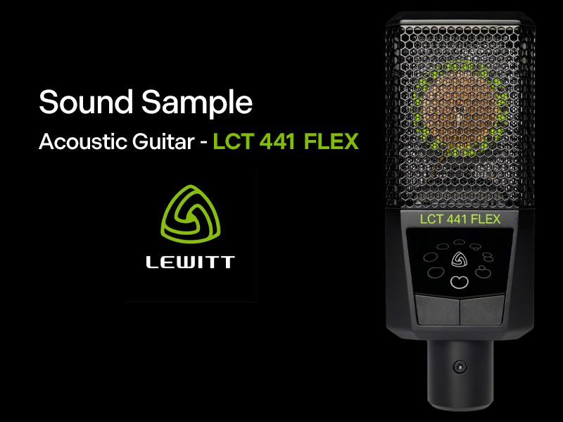 Amazon.com: LEWITT LCT441Flex Multi Pattern Large Diapragm Mic