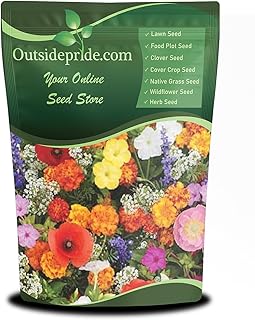 Outsidepride Deer Proof Wildflower Seed Mix - 1 lb. Colorful Blend of Ea...