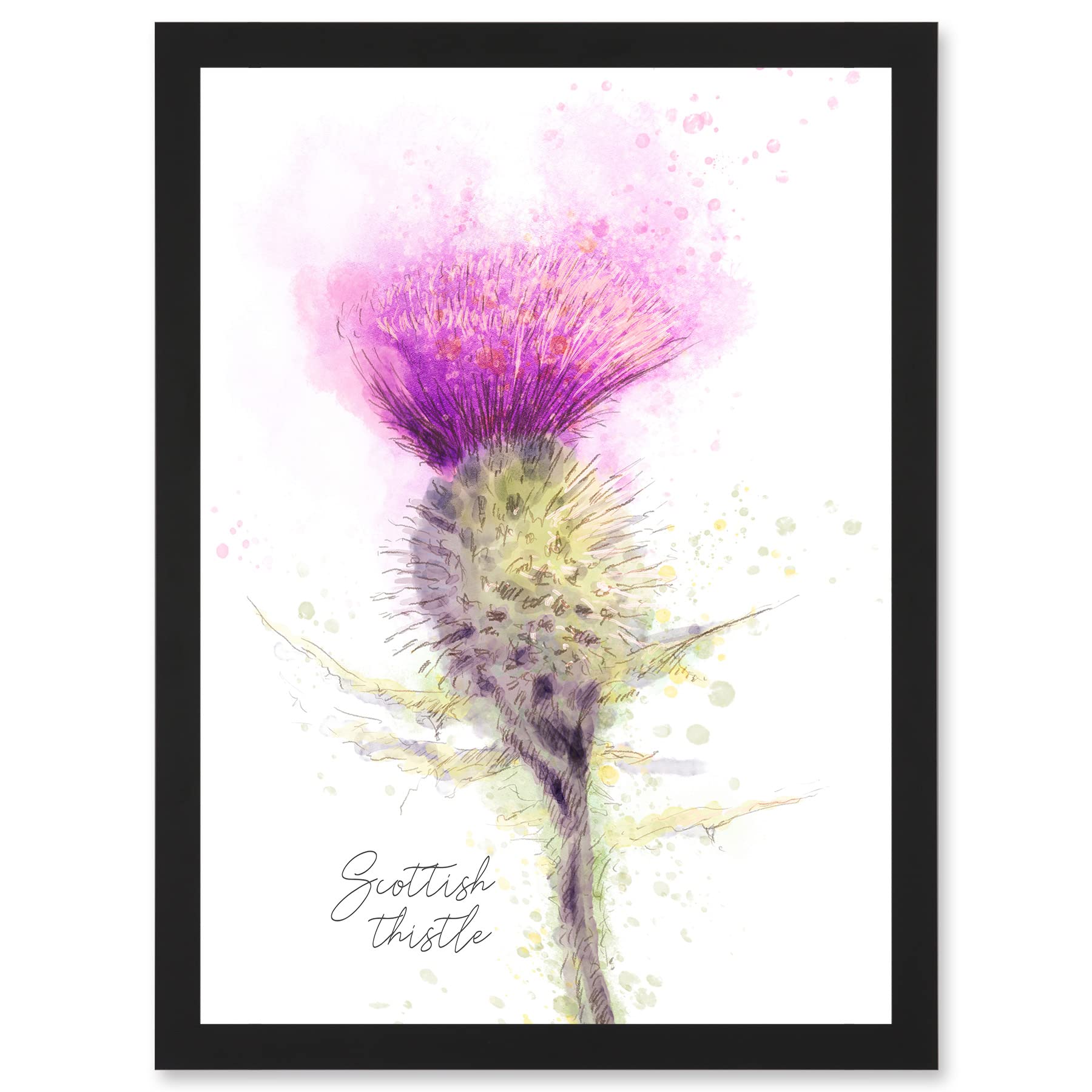 Artery8 Scottish Thistle Flower Head Watercolour A4 Framed Wall Art Print - Black Frame