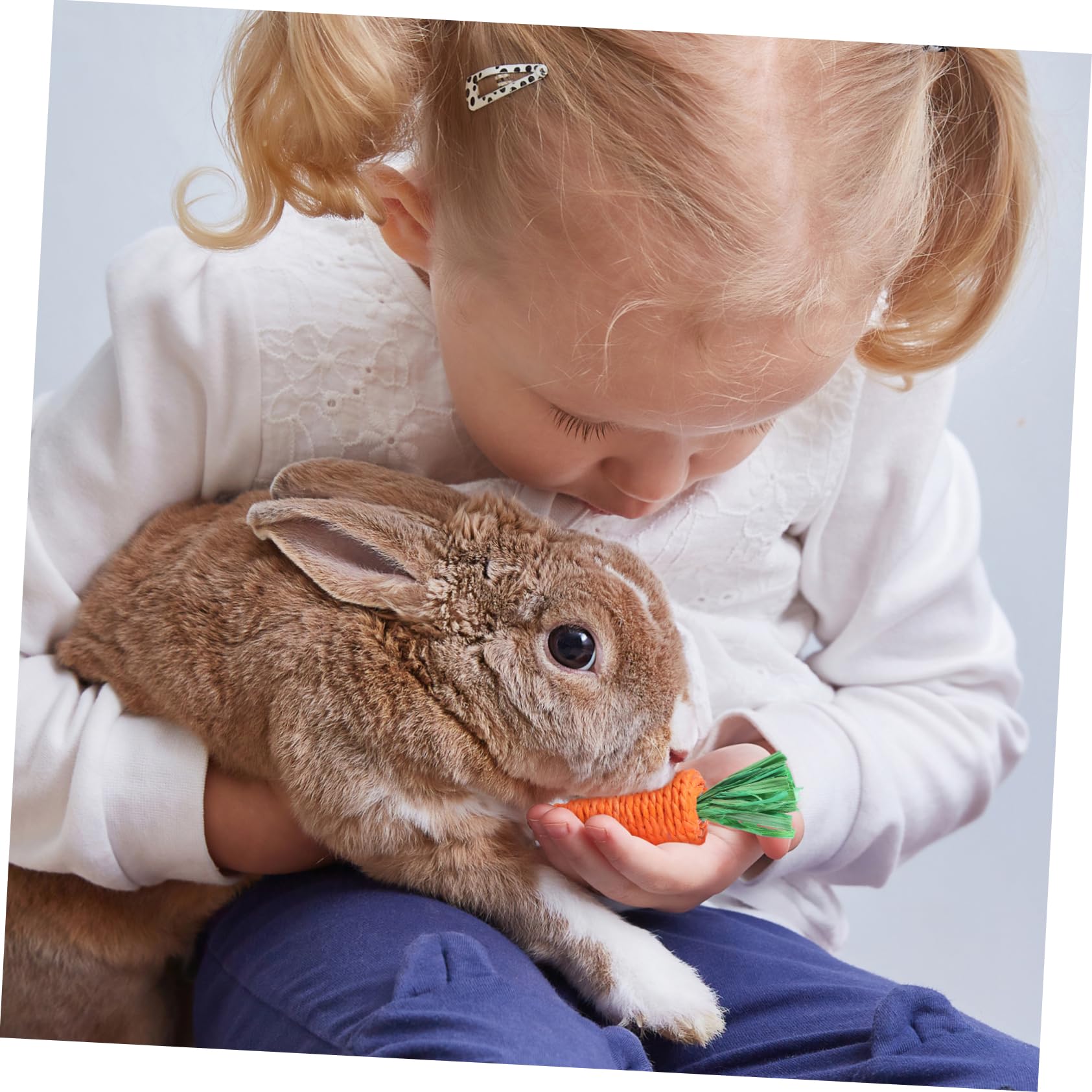 BESPORTBLE 30stücke Woven Radish Spielzeug Für Kleine Haustiere Kauspielzeug Für Kaninchen Hamster Und Meerschweinchen Fördert Molaraktivität Und Beschäftigung