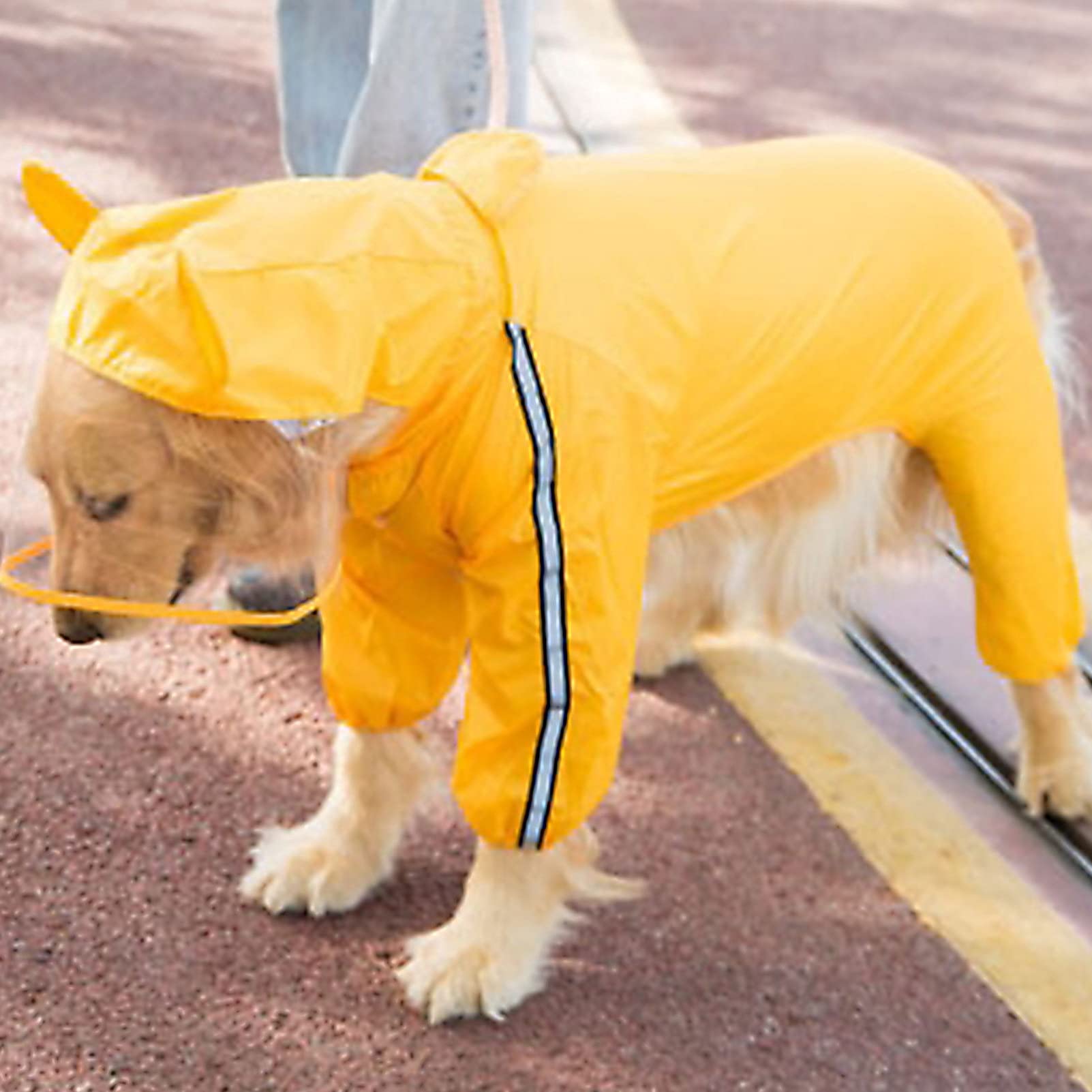 Zerodeko 3pièces Manteau De Pluie pour Chien Étanche à Capuche Design Abeille Vêtement Stylé pour Petits Et Moyens Chiens pour Jours De Pluie