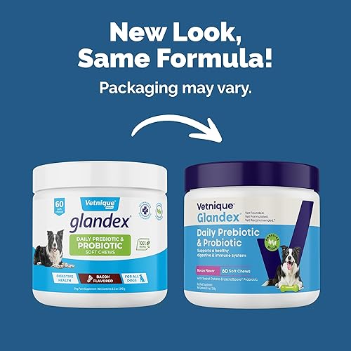 Miniatura 2 de Vetnique Glandex Probióticos diarios para perros con prebióticos para apoyar la salud intestinal con fibra y enzimas digestivas, masticables