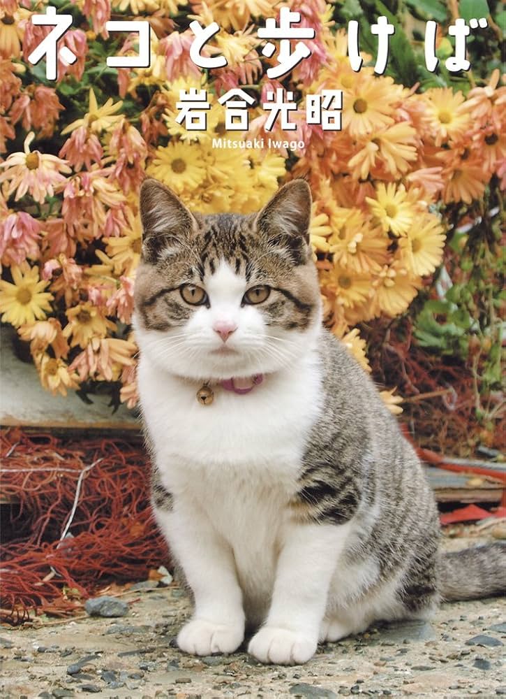 岩盤浴をする猫様 4702-2107-