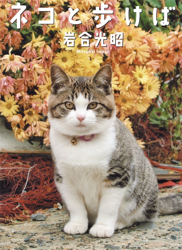 ５冊セット　岩合光昭・猫姿白描画譜・にゃんとも猫だらけ・猫アート・nekolt 71Qy3xCjocL.jpg