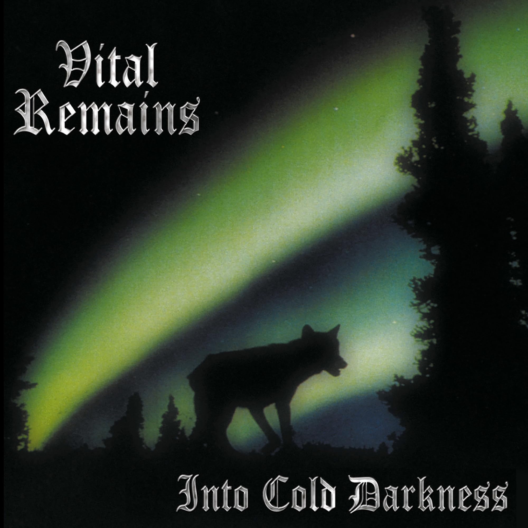 Into Cold Darkness (30th Anniversary) [VINYL]