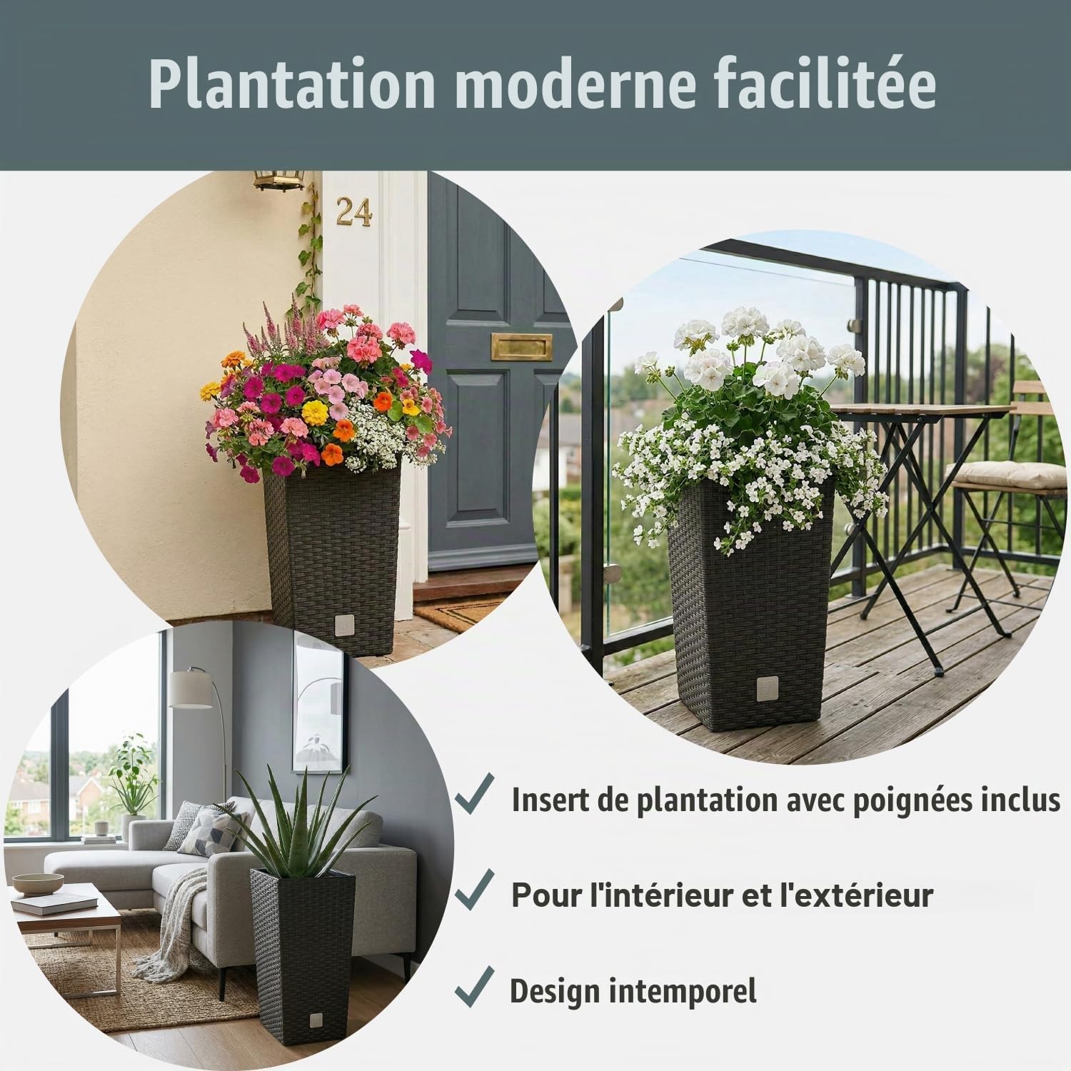 Marmite Rato 49 litres avec insert 32,5 x 32,5 x 61 cm en couleur anthracite
