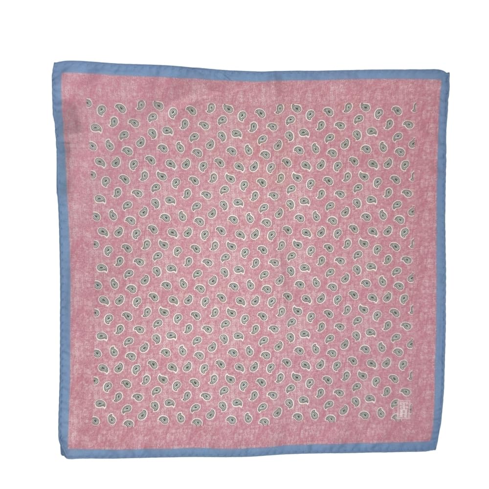 the tie hub Pink Italian Silk Pocket Square for Men with Blue Border and Paisley Design-picture-24
