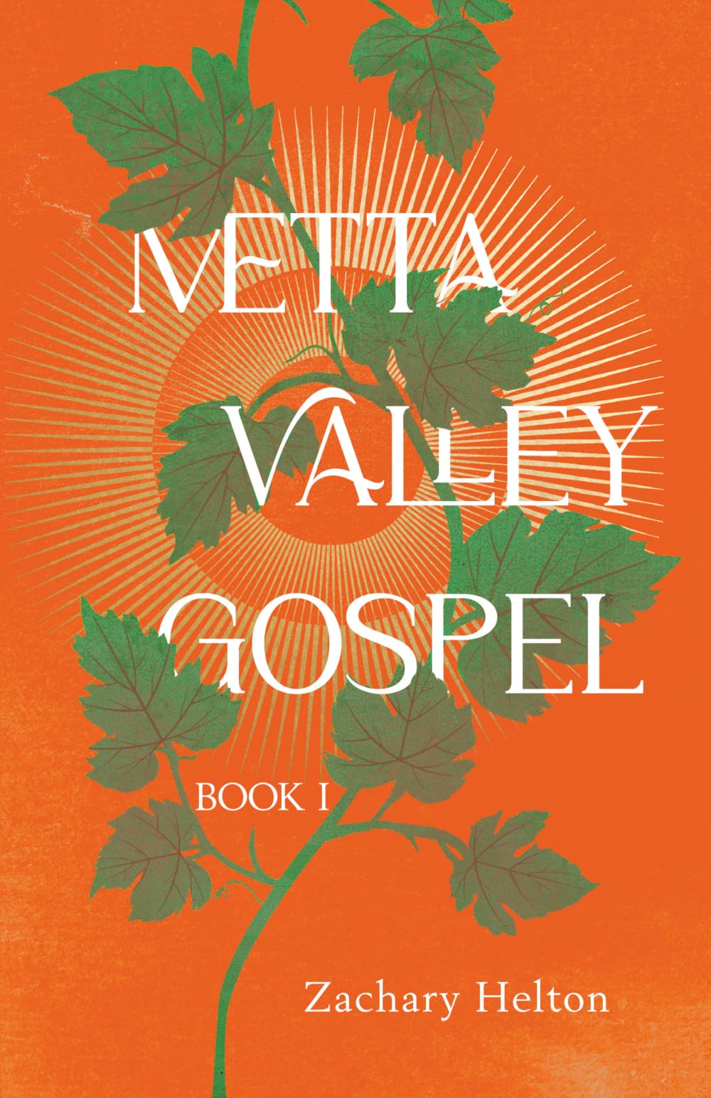 Metta Valley Gospel: Book 1 (The Metta Valley Gospel Series)
