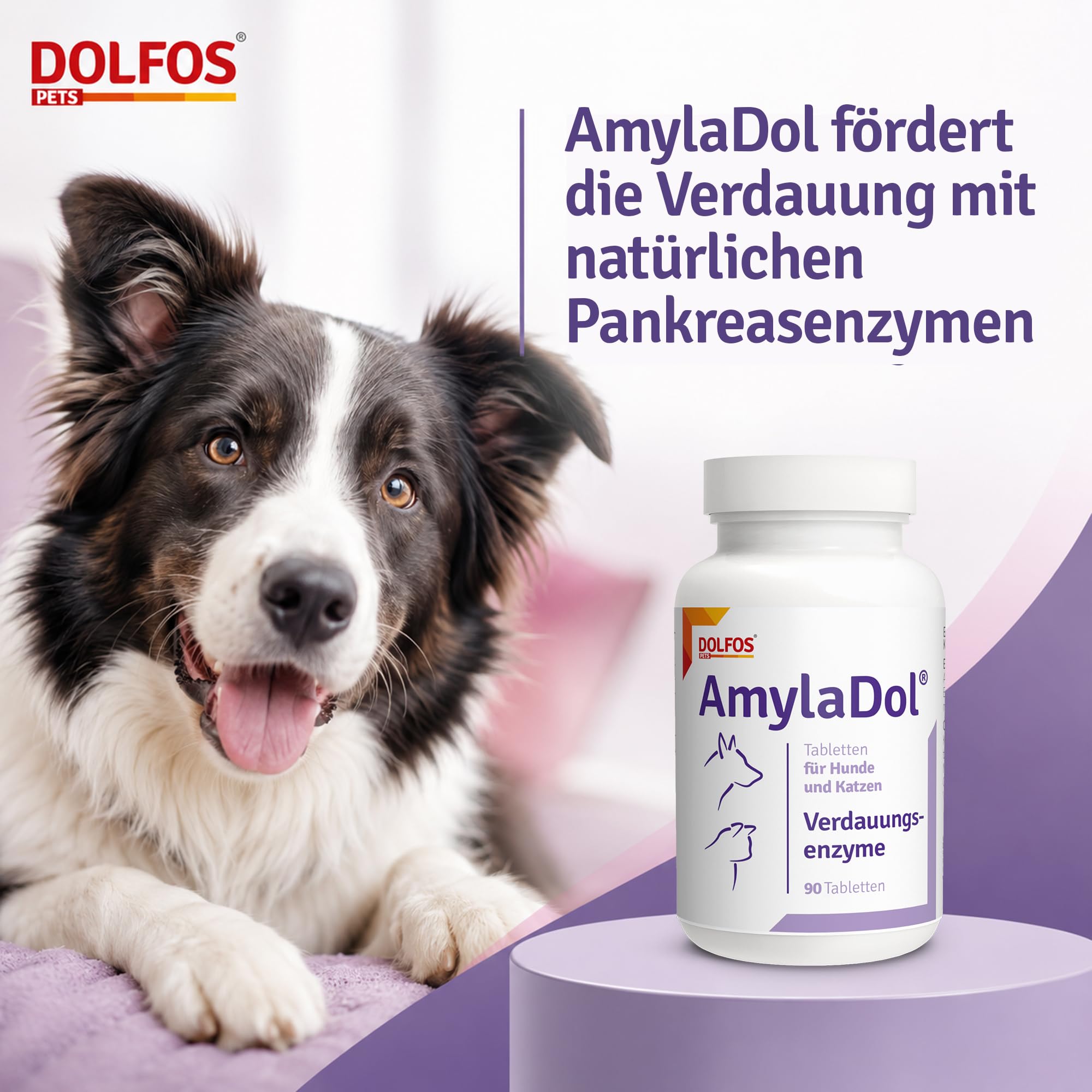 AmylaDol Verdauung Hund 90 Tabletten, Natürliche Verdauungsenzyme einschließlich Amylase, Lipase und Protease. Diätetisches Nahrungsergänzungsmittel bei Verdauungsstörungen bei Hund und Katze
