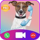 labrador friends of the south atlanta - Pre-installed videos Fake call cute Dog Instant prank call video