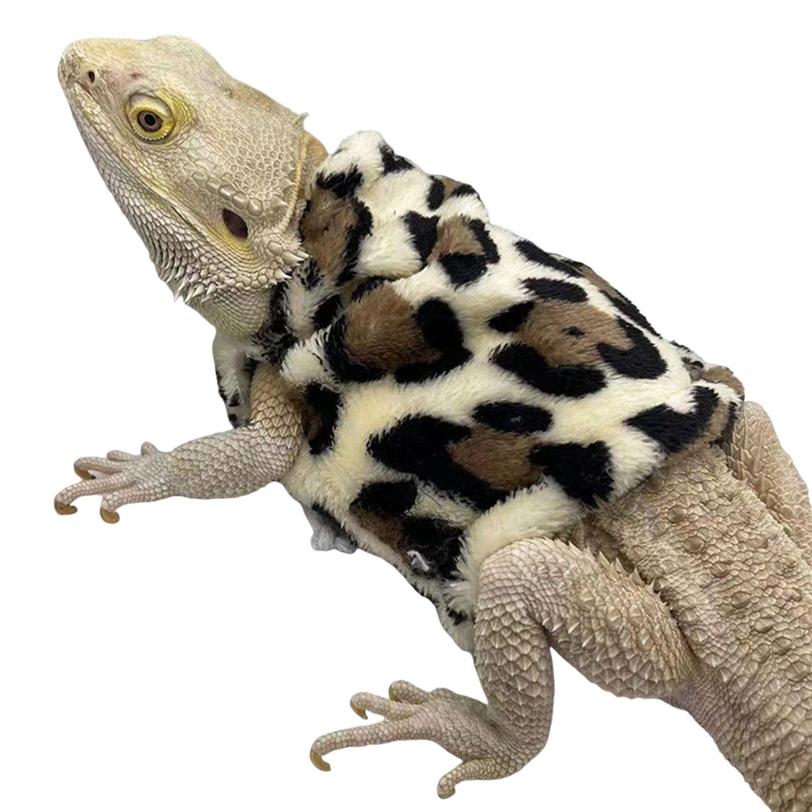 Vêtements de reptiles | Costume de dragon barbu,Costume de dragon barbu pour lézards Dragon, tenues vêtements accessoires photo pour lézards geckos hamsters