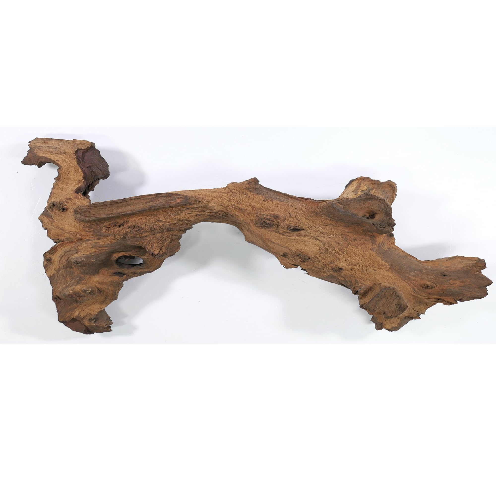 Mopani radice XL // radice in vero legno decorazione per acquario, gamberetti, pesci d'acquario Hard Scape 40 cm - 50 cm (Mangrove Savanna) Aquascaping
