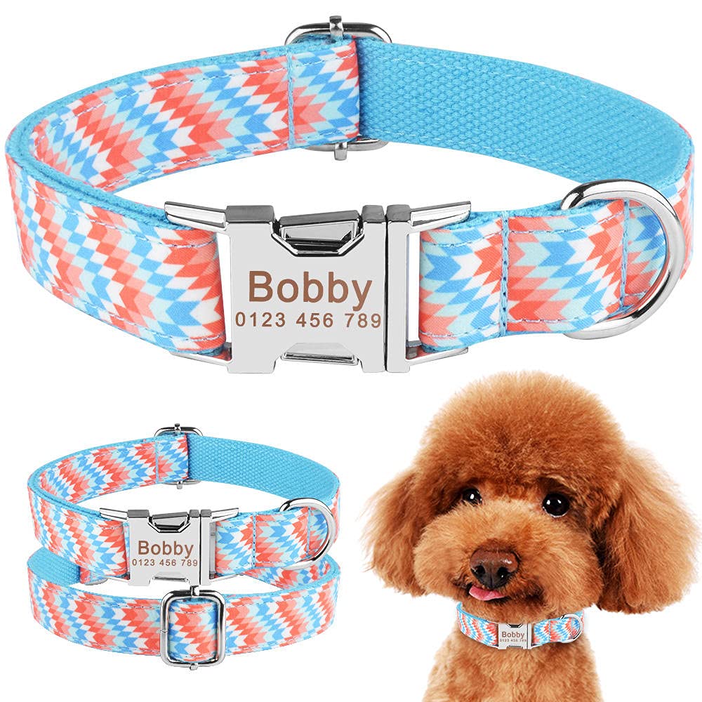 Collier pour chiot personnalisé et réglable pour des balades sereines