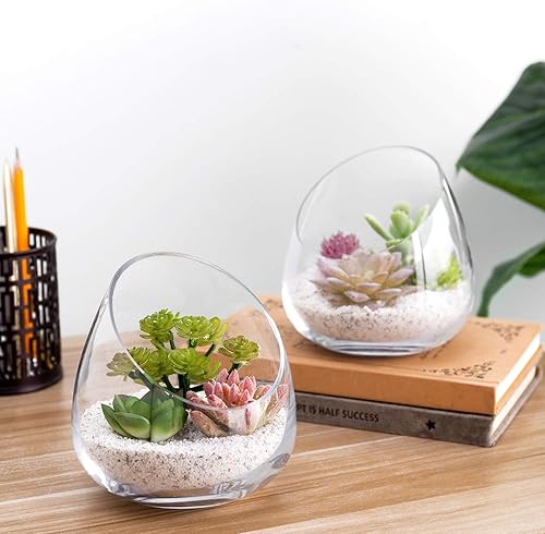 Miniatura 4 de MyGift Terrario de cristal transparente de 5 pulgadas para plantas de aire, mini tarro para caramelos, portavelas candelita, jarrón de plantas de