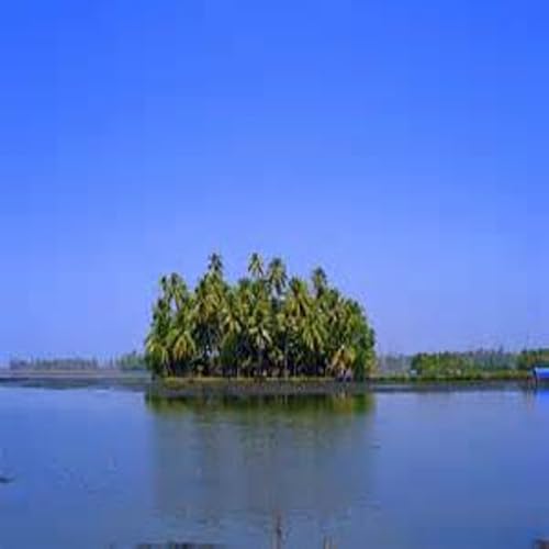 Kumbalangi - //medicalbooks.filipinodoctors.org