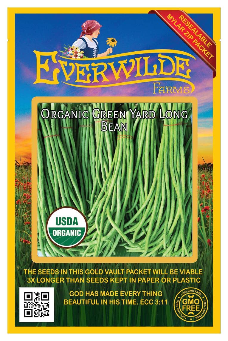 Everwilde Farms - 20 Organic Yard Long Bean - Green Yard Long Bean Seeds - Gold Vault Packet
