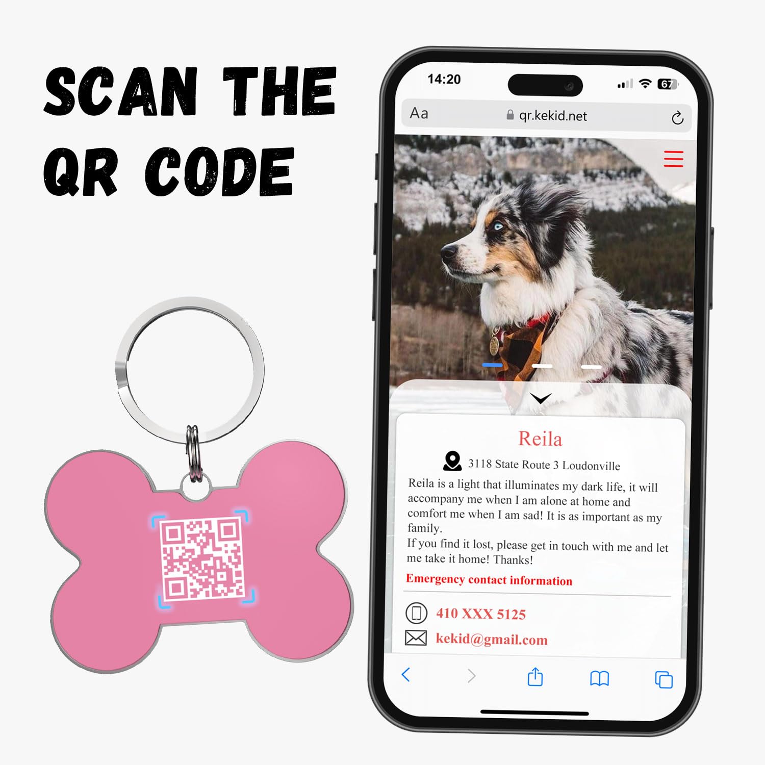 Hundemarke mit QR-Code, personalisierbar für Haustiere, individuelle Hunde- und Katzenmarken, kostenlose Online-Haustierseite, verhindert Verlust/Änderung