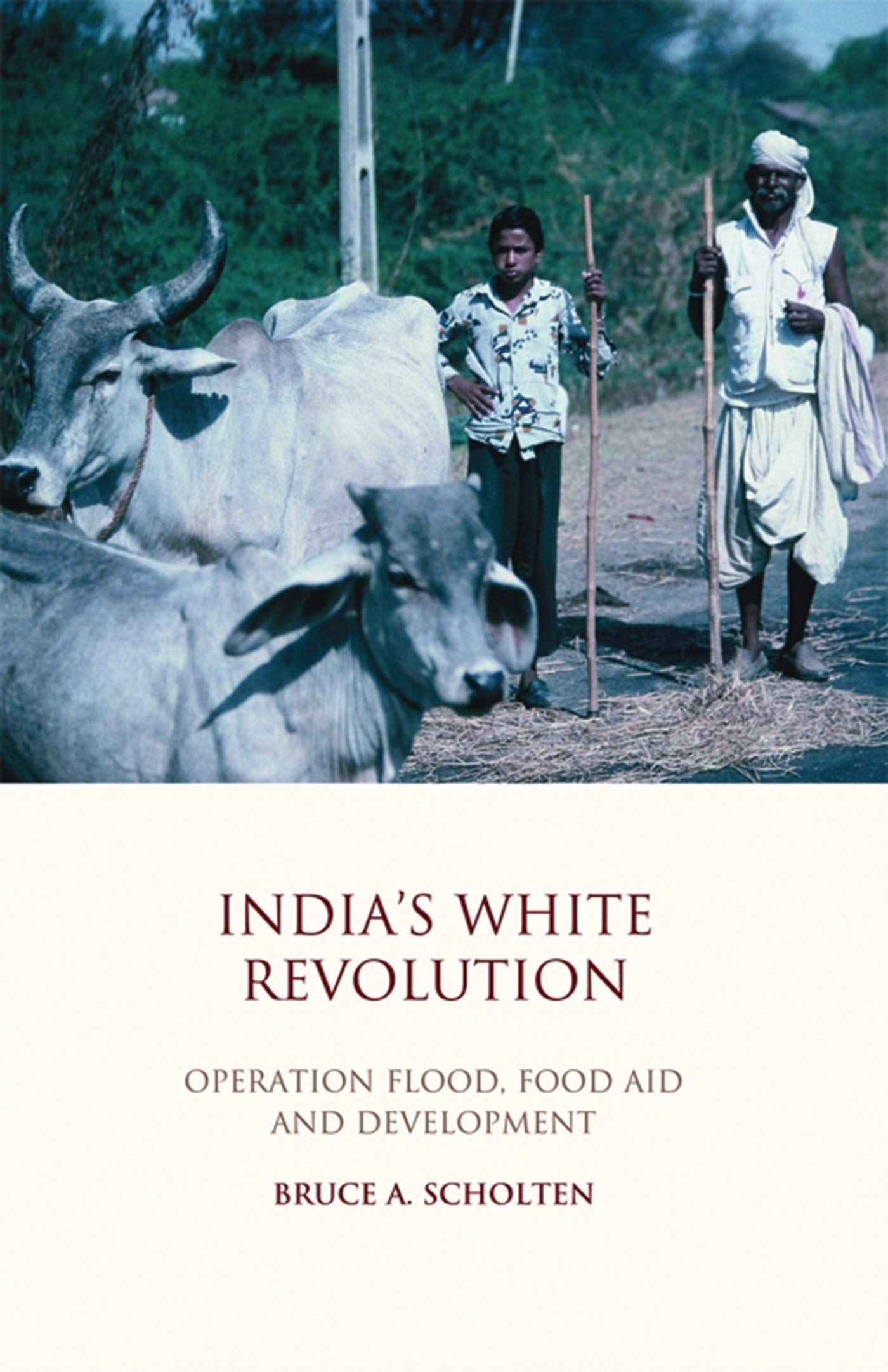 Buy India's White Revolution: Operation Flood, Food Aid and Development: v. 1 (Library of Development Studies): 01 — BookShops.in