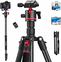 CIRCUS TRIPOD REGULAR KINOKO CIRCUS TRIPOD REGULAR KINOKO CIRCUS TRIPOD REGULAR KINOKO