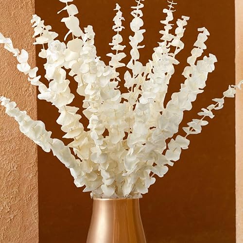 Paquete de 16 piezas de tallo de eucalipto seco blanqueado, 100% ramas de eucalipto naturales color blanco crema conservadas, hojas de eucalipto