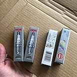 Amazon.com: NGK (9029) DILKAR6A-11 Laser Iridium Spark Plug, Pack of 1 ...