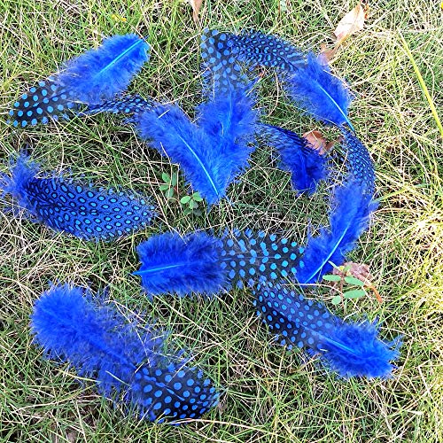 100Pcs 3"-6" Royal Blue Spotted Feathers Guinea Pheasant Feather For Crafts Dream Catcher Jewelry Decoration, Colored Turkey Chicken Plume Feathers #TOP5