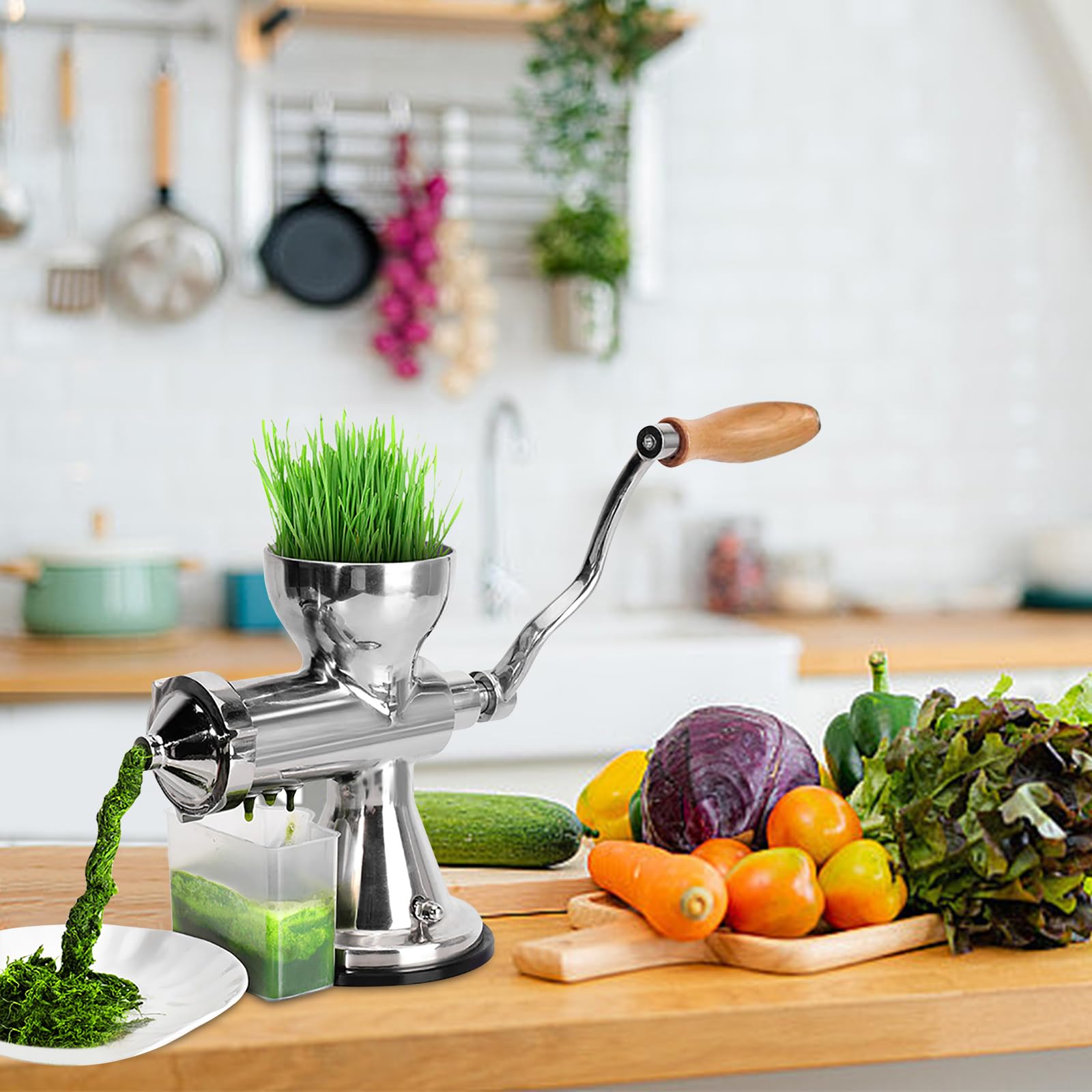 Professionelle manuelle Flüssigkeitspresse für Weizengras, Chicorée, Aloe Reality, permanenter, rostfreier Plan, mühelose, reinigende Handpresse, Weizengraspresse