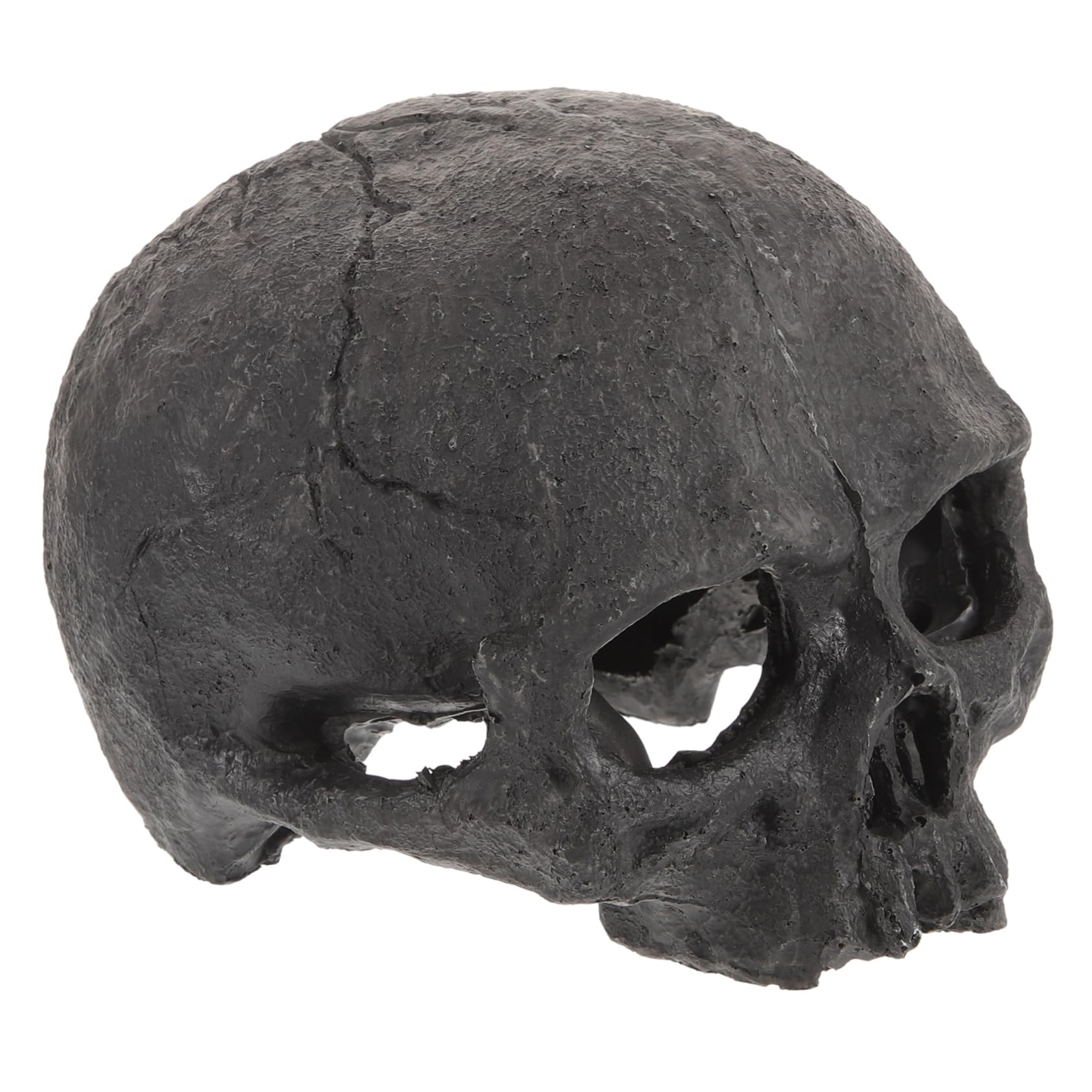 Toddmomy 5pezzi Decorazione Acquario Resina Forma di Teschio Ornamento per Pesci Rifugio per Rettili Design Realistico per Terrari e Acquari per Halloween