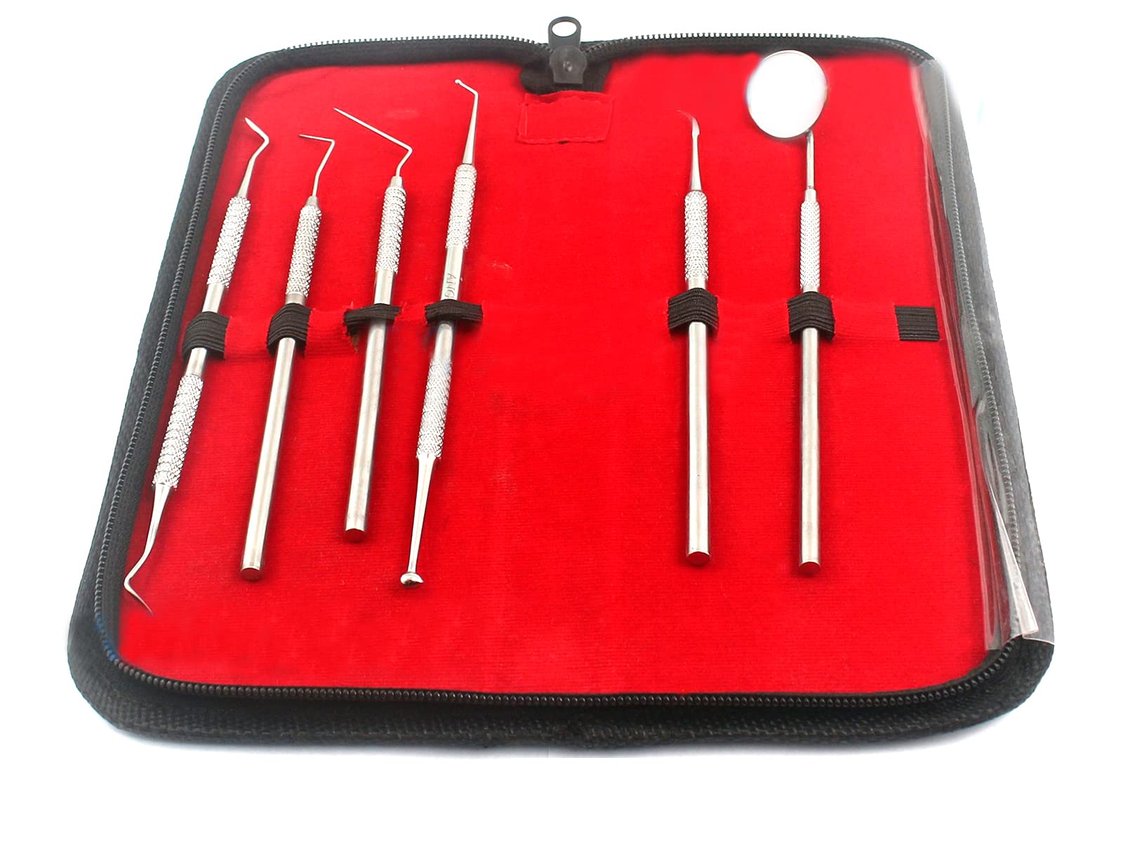 Professional Dental Hygiene KIT by AA PRO | 6 Peice Stainless Steel Instruments Including TARTER Scraper Scaler Remover Tool, Dental Pick, Probe, Teeth Mirror, Burnisher, PET Friendly A+ Quality