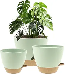 Vasos autoirrigáveis de 20/9/25 cm, vaso de flores de plástico com orifícios de drenagem, lábio de irrigação, pires removíveis, design moderno e minimalista para flores internas e externas (verde)