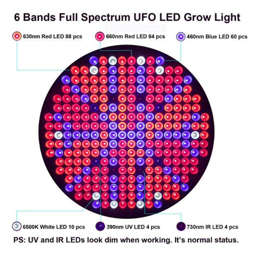 Luces de Cultivo de Plantas LED, 50W 250 LED Plantas de Interior Bombillas de lámpara de Cultivo con Planta de hidroponía de Espectro Azul Rojo, Redonda