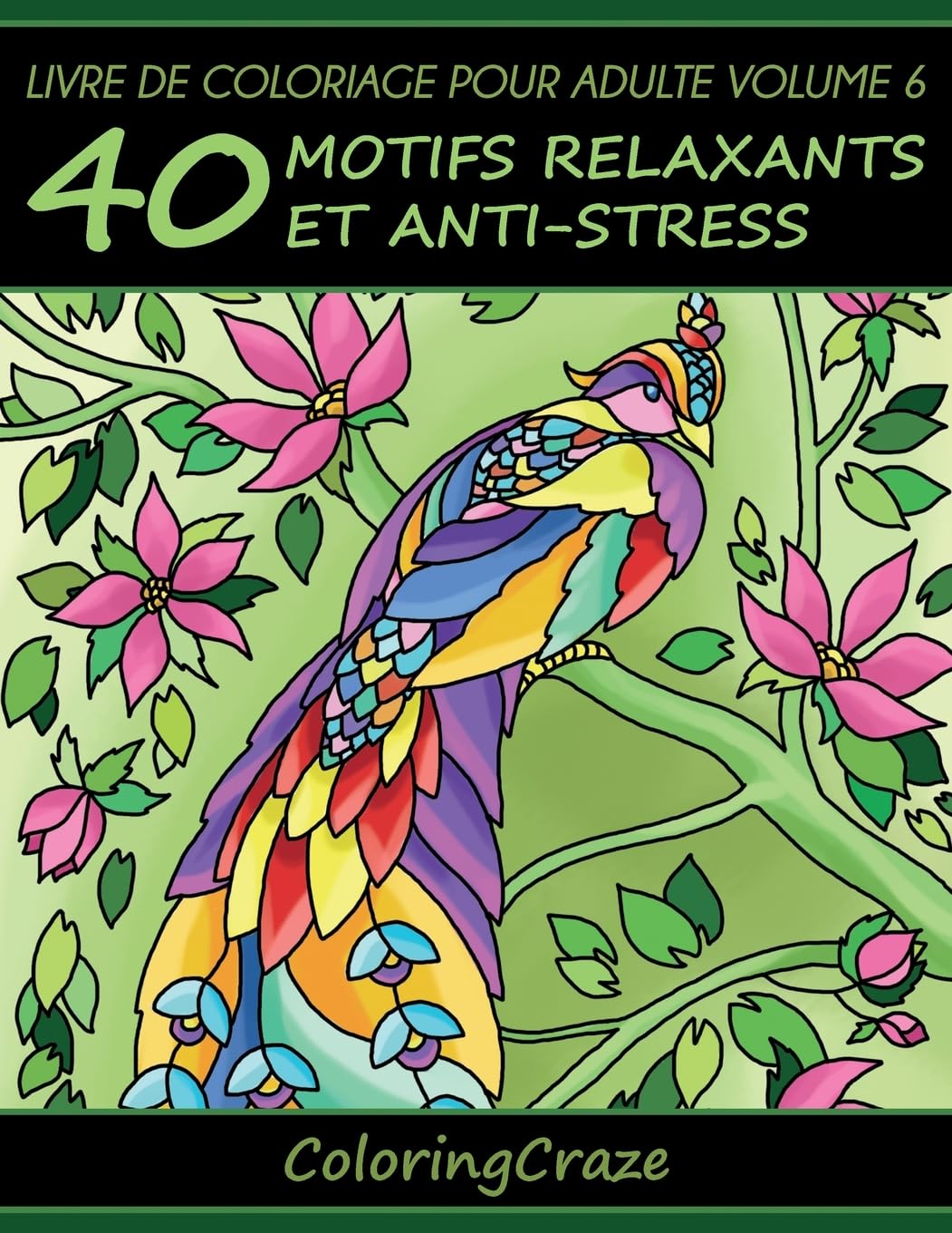 Dessin de perspectives et colorisation au marqueur guide de dessin - 13